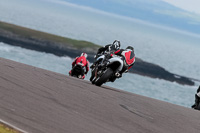 PJ-Motorsport-2019;anglesey-no-limits-trackday;anglesey-photographs;anglesey-trackday-photographs;enduro-digital-images;event-digital-images;eventdigitalimages;no-limits-trackdays;peter-wileman-photography;racing-digital-images;trac-mon;trackday-digital-images;trackday-photos;ty-croes